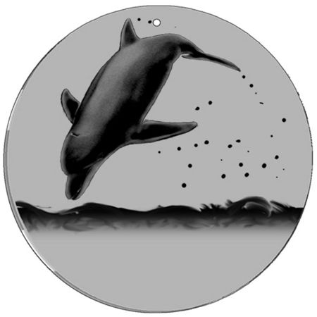 Magic Disc - CineSpinner Dolphin 5,5'